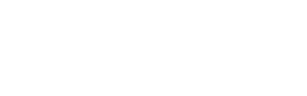 Binary Marvels Logo