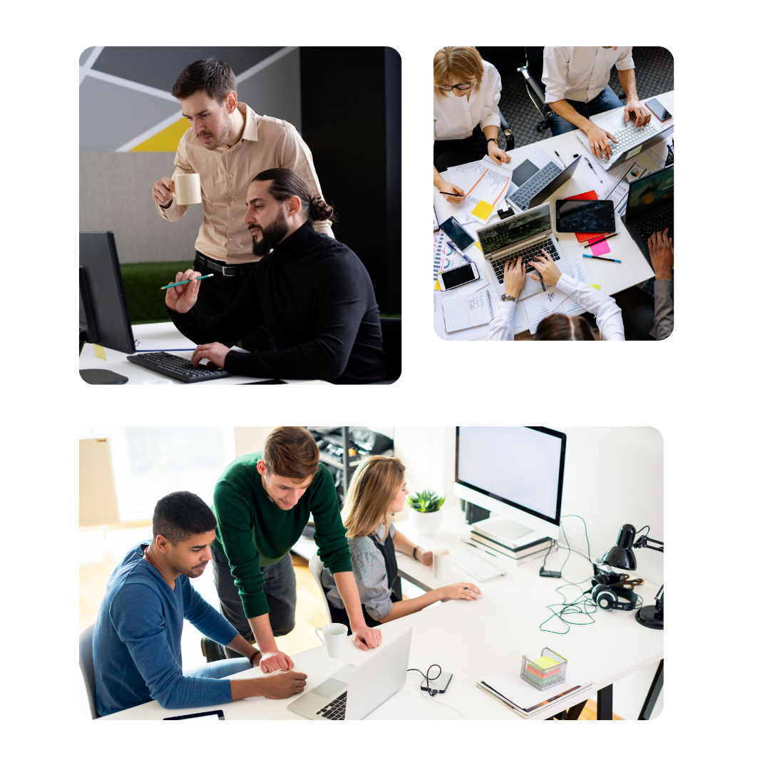 web development services in pakistan