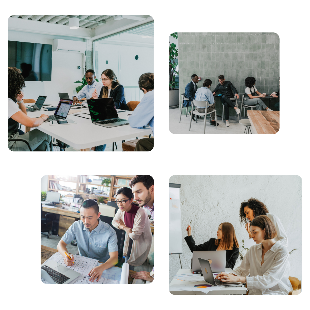 custom web development services