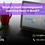 What is SaaS Development