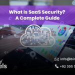 What Is SaaS Security