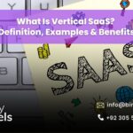 What Is Vertical SaaS