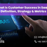 What Is Customer Success in SaaS