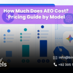 How Much Does AEO Cost